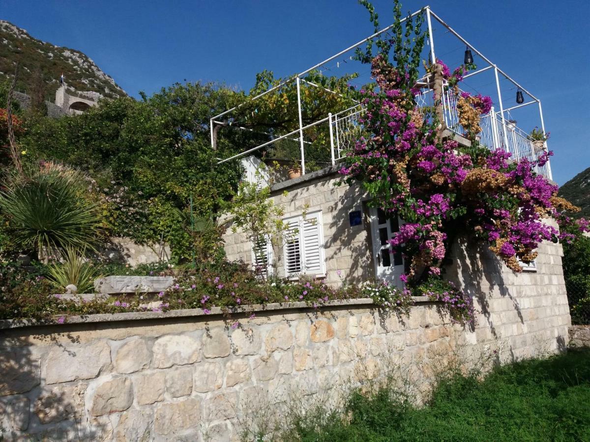 Apartman Matic Ston Dış mekan fotoğraf